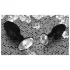 You2Toys - Diamond - siliconen anale plug (klein)