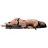 You2Toys - Bondage Bord - draagbare boeienset (13-delig)