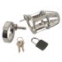 You2Toys - Kuisheidskooi - metalen peniskooi met slot