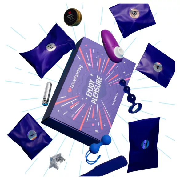 Womanizer Adventskalender - Lovesexshop.nl seksshop