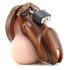 CB-6000 - luxe houten peniskooi met slot