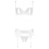 Abierta Fina - bh set - transparant kanten design - zwart - 85B/L