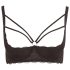 Cottelli Plus Size - bretellen, ringvormige bh (zwart) - 90D