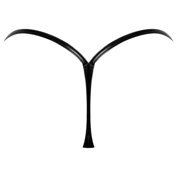 Noir - string slip - glanzend effect - zwart
