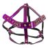 Bad Kitty - roze strass hoofd harnas