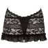 Cottelli - Halter mini jurk - Kant - Zwart - XL