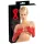 LATEX - lange unisex handschoenen - rood