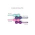 Love to Love Joia - mintgroene siliconen liefdesballen duo