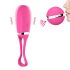 Dorcel Secret Delight - draadloze tril-ei (roze)