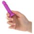 Silly Willy - Kleurrijk zuignap dildo van siliconen - 12 stuks