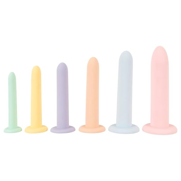 Zes-op-een-Rij Dildo Trainer Set - Kleurrijk 6 delig
