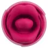 You2Toys Oral Fun - tongvormige clitoristrilvibrator (roze)