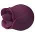 Amaysin - tongvormige rozen-clitorisvibrator (paars)