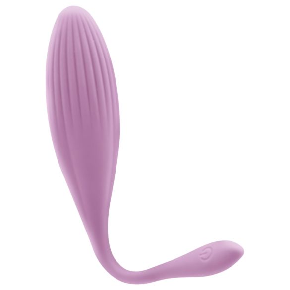 Egg Series - draairing vibrerend eitje (paars)