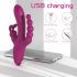 Sex HD Joker - oplaadbare, waterdichte 3-in-1 vibrator (paars)
