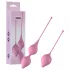 Passion Play - geishaballen set (roze)