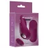 Passion Play - afstandsbedienbare, magnetische slipjesvibrator (bordeaux)
