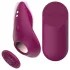 Passion Play - afstandsbedienbare, magnetische slipjesvibrator (bordeaux)