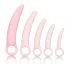 CalExotics Inspire - vaginadilatator set - siliconen - roze
