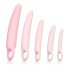 CalExotics Inspire - Vaginale Dilator Set voor Gezondheid (roze)