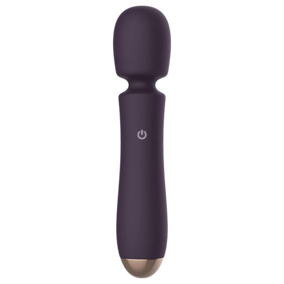 Raytech - oplaadbare, waterdichte massager vibrator (paars)