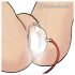 Temptasia Advanced - vaginapomp