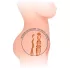 Intense Deep Touch Jesse - masturbator torso - realistisch - huidkleur