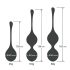 Engily Ross Taylor 2.0 - 3-delige geishaballen set (paars)