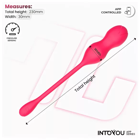 INTOYOU Kyra - kegel ballen duo met vibratie - roze