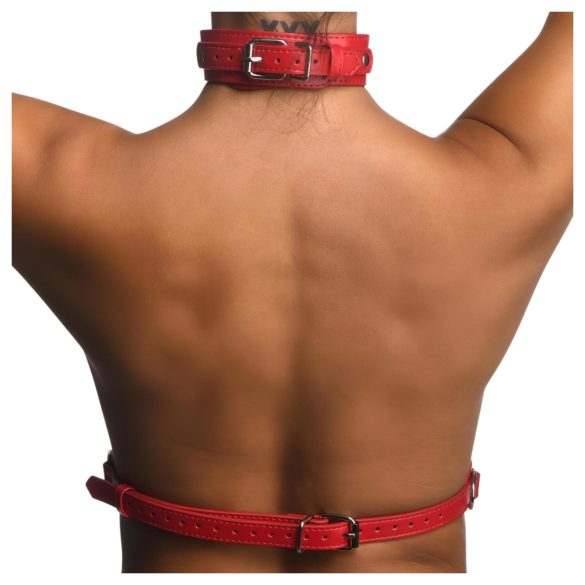 Strict - halter lichaamsharnas (rood) - M/L