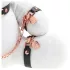 Bondage Rabbit - BDSM masker - konijnenoren - wit