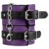 Secret Pleasure Kist: Geavanceerde BDSM-set (14-delig)