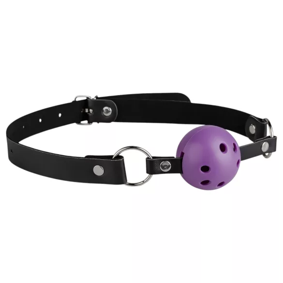 Secret Pleasure Chest - gevorderde BDSM-set (14-delig)