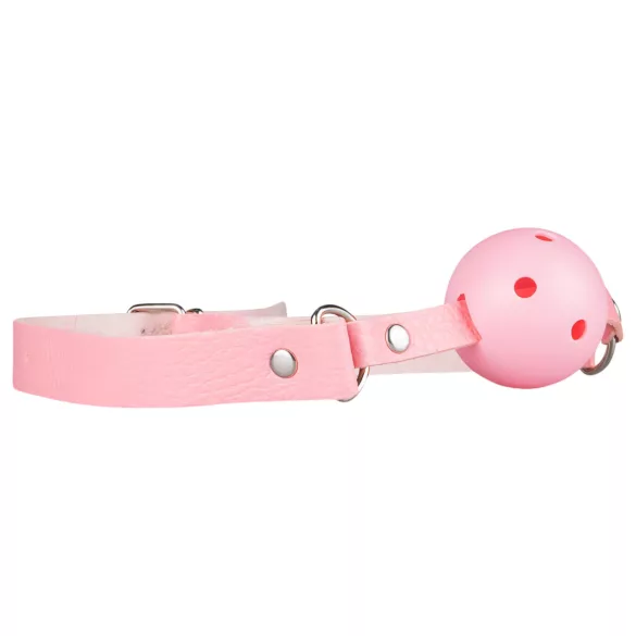Secret Pleasure Chest - BDSM set voor gevorderden - 14-delig - roze