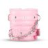 Secret Pleasure Chest - gevorderd BDSM-set - 14-delig (roze)