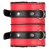 Secret Pleasure Chest - gevorderde BDSM-set - 10-delig (rood)