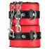 Secret Pleasure Chest - gevorderde BDSM-set - 10-delig (rood)