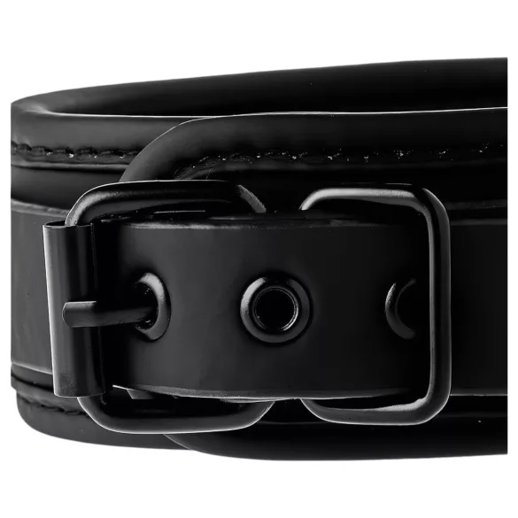 Blaze - halsband en riem - zwart