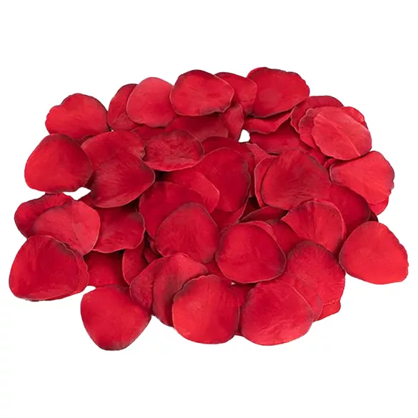 Dreamtoys Amour - anale trainingscadeauset (rood)