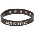 X-Play Master - BDSM halsband - verstelbaar - zwart
