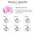 FEELZTOYS Femmefit - 6-delige Geishaballen-Set
